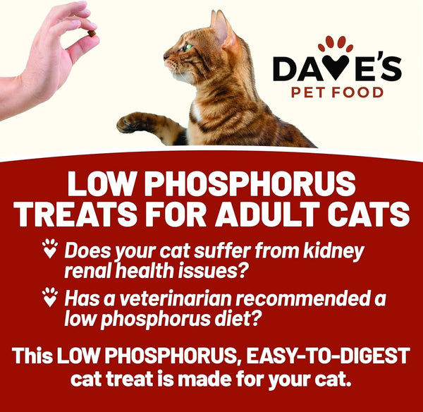 Dave's Pet Food Renal Friendly Semi-Moist Sweet Potato Cat Treats