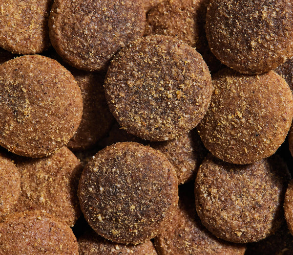 Open Farm Wild-Caught Salmon & Oatmeal Better Biscuits For Dogs