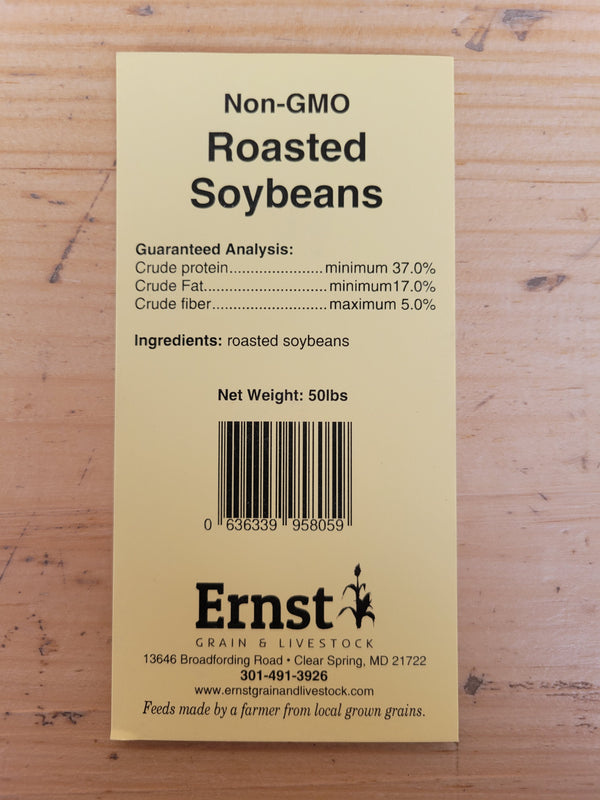Roasted Soybeans, Non-GMO