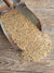 Barley for Malting, Non-GMO