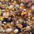 Higgins Worldly Cuisines Inca Bean Salad Bird Treats