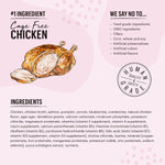The Honest Kitchen Cat Minced Chicken & Salmon Recipe in Bone Broth