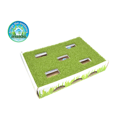 Petstages Grass Patch Hunting Box