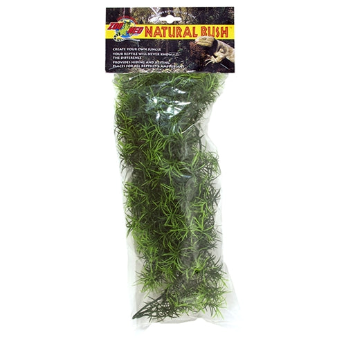 ZooMed Natural Bush Plants - Cashuarina