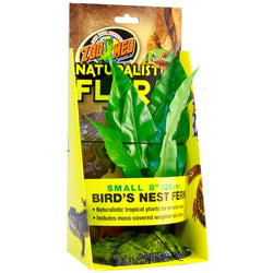 ZooMed Naturalistic Flora - Bird's Nest Fern