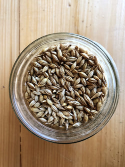 Non-GMO Barley