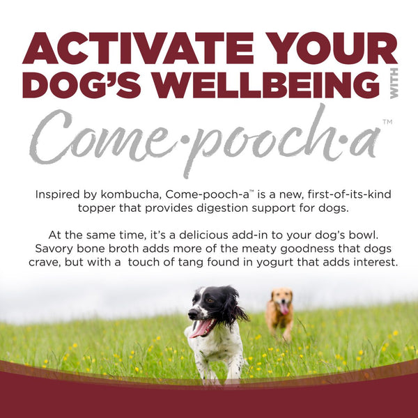 Nutrisource Come-Pooch-A Beef Bone Broth Recipe