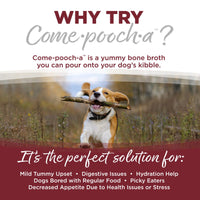 Nutrisource Come-Pooch-A Beef Bone Broth Recipe