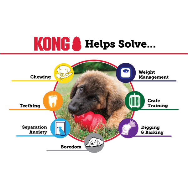 KONG PUPPY DOG TOY