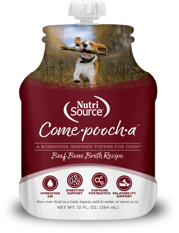 Nutrisource Come-Pooch-A Beef Bone Broth Recipe