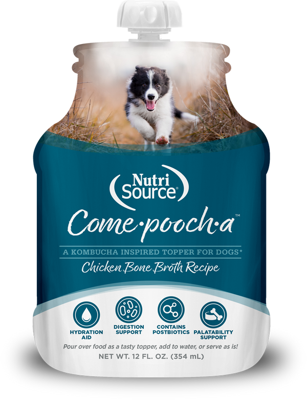 NutriSource Come-Pooch-A Chicken Bone Broth Recipe