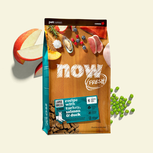 Now Fresh Grain Free Large Breed Senior Recipe Dry Dog Food