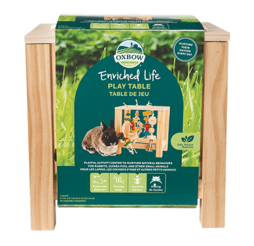 Oxbow Animal Health Enriched Life Play Table