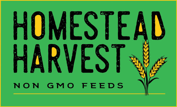 Homestead Harvest Non-GMO Chick Starter 22% For growing chicks
