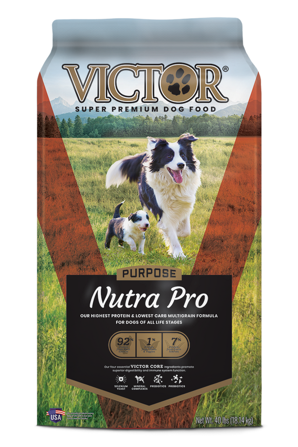 does canine caviar have vitamin e and l carnitine Open Meadow Lamb & Pearl Millet Alkaline Holistic Dry Dog Food Annamaet Sensitive Skin & Stomach