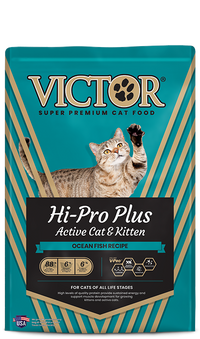 Victor Hi-Pro Plus Active Cat & Kitten