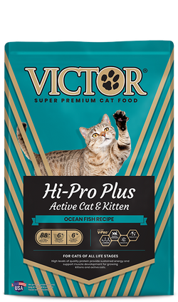 Victor Hi-Pro Plus Active Cat & Kitten