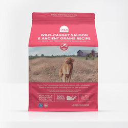 OPEN FARM Wild Salmon and Ancient Grains Dry Dog Food