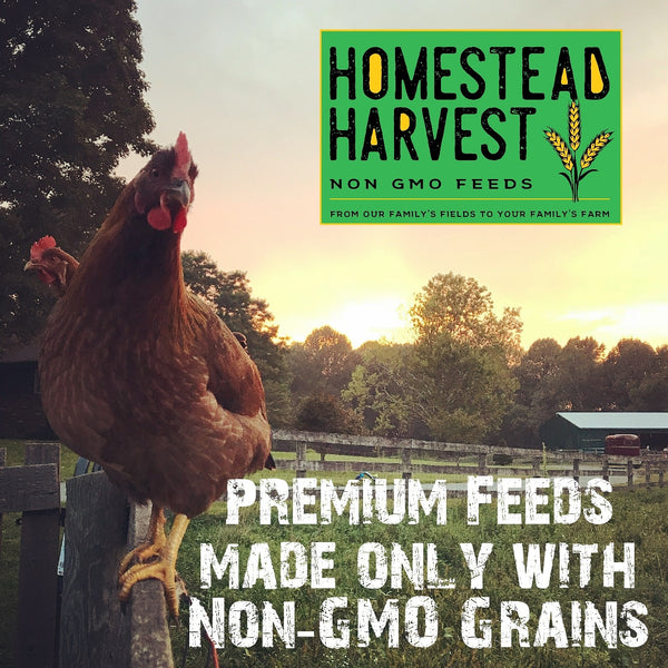 Homestead Harvest Non-GMO Whole Grain Heritage Hog Feed 16% for all classes of swine
