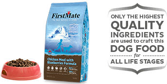 FirstMate Grain Free Limited Ingredient Diet Chicken Meal with Blueberries Formula Small Bites Dog Food